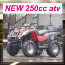 NOUVEAU MC-356 250cc atv